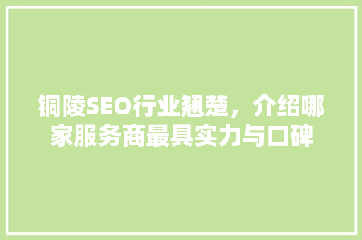 铜陵SEO行业翘楚，介绍哪家服务商最具实力与口碑