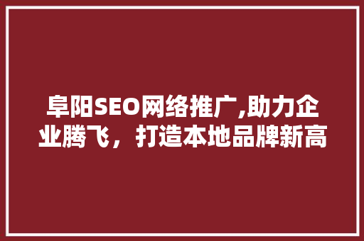阜阳SEO网络推广,助力企业腾飞，打造本地品牌新高度