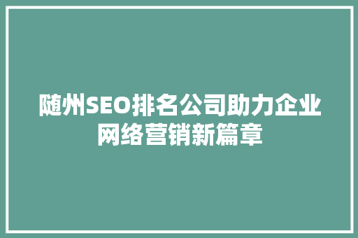随州SEO排名公司助力企业网络营销新篇章