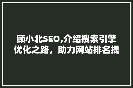 顾小北SEO,介绍搜索引擎优化之路，助力网站排名提升