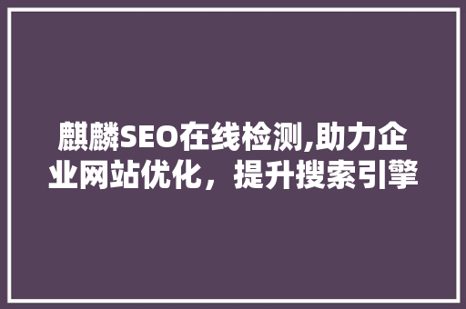 麒麟SEO在线检测,助力企业网站优化，提升搜索引擎排名
