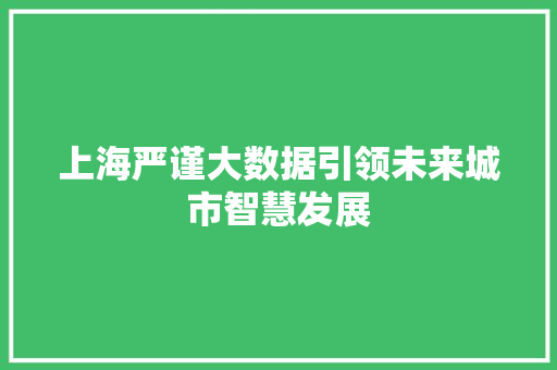 上海严谨大数据引领未来城市智慧发展