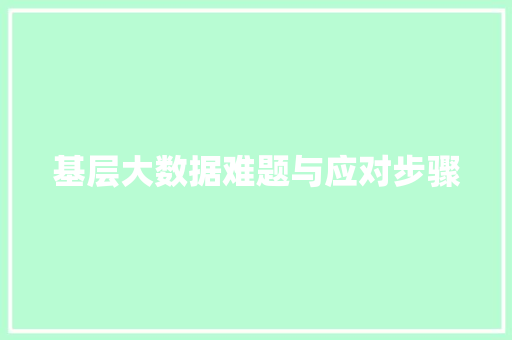 基层大数据难题与应对步骤