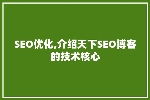 SEO优化,介绍天下SEO博客的技术核心
