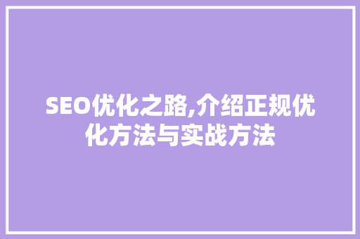 SEO优化之路,介绍正规优化方法与实战方法