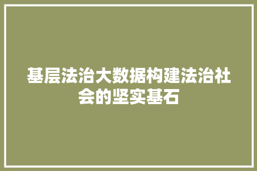 基层法治大数据构建法治社会的坚实基石  第1张
