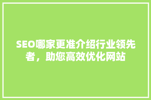 SEO哪家更准介绍行业领先者，助您高效优化网站