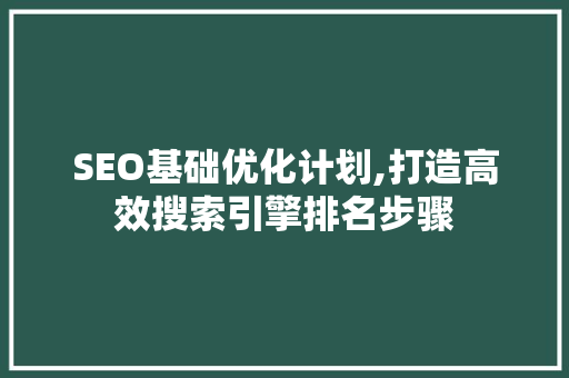 SEO基础优化计划,打造高效搜索引擎排名步骤