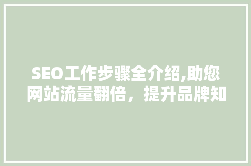 SEO工作步骤全介绍,助您网站流量翻倍，提升品牌知名度