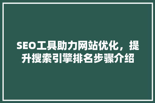 SEO工具助力网站优化，提升搜索引擎排名步骤介绍