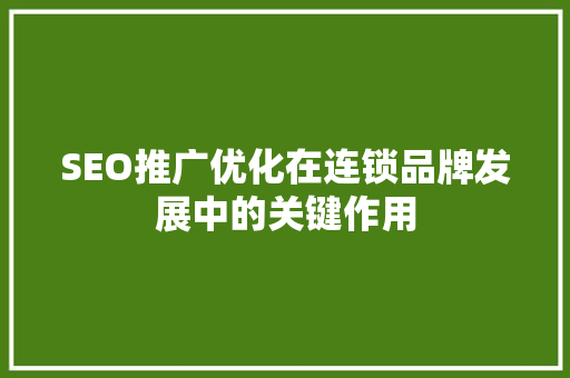SEO推广优化在连锁品牌发展中的关键作用