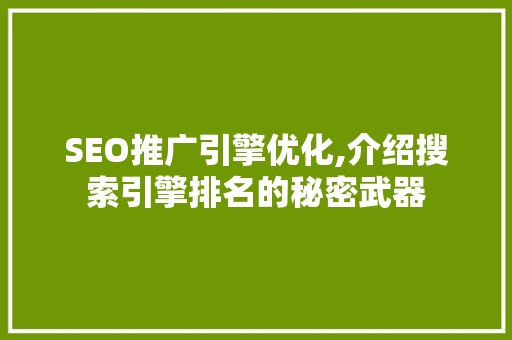 SEO推广引擎优化,介绍搜索引擎排名的秘密武器