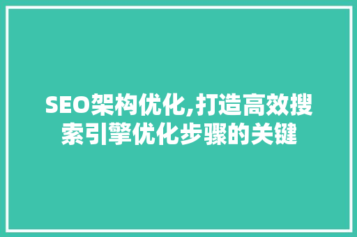 SEO架构优化,打造高效搜索引擎优化步骤的关键