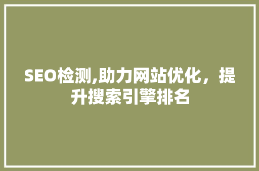 SEO检测,助力网站优化，提升搜索引擎排名