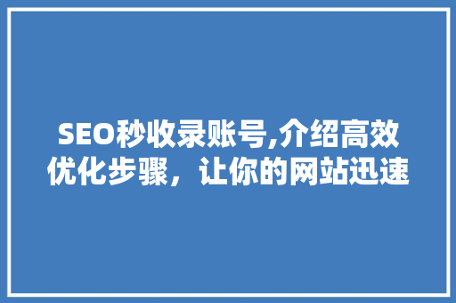 SEO秒收录账号,介绍高效优化步骤，让你的网站迅速提升排名