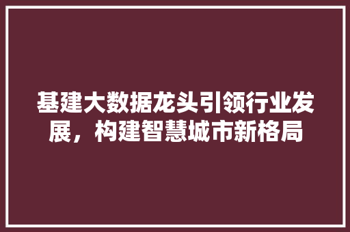 基建大数据龙头引领行业发展，构建智慧城市新格局  第1张