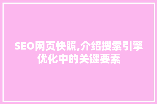 SEO网页快照,介绍搜索引擎优化中的关键要素