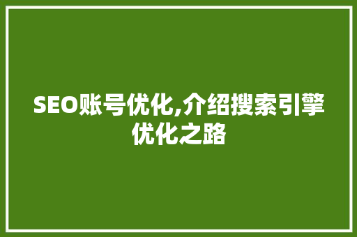 SEO账号优化,介绍搜索引擎优化之路