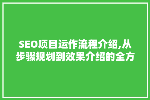 SEO项目运作流程介绍,从步骤规划到效果介绍的全方位指导