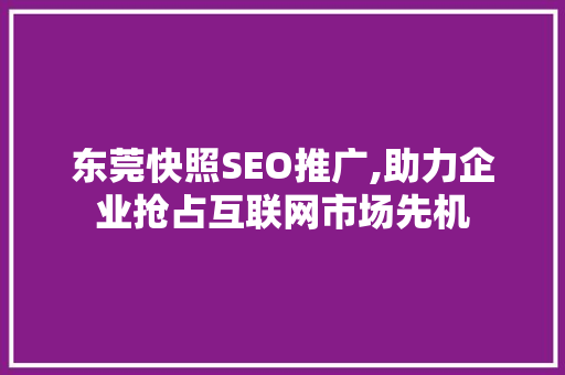 东莞快照SEO推广,助力企业抢占互联网市场先机
