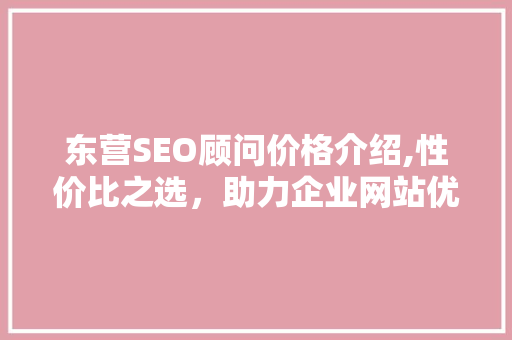 东营SEO顾问价格介绍,性价比之选，助力企业网站优化