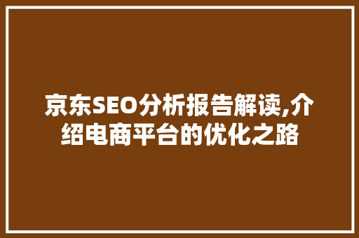 京东SEO分析报告解读,介绍电商平台的优化之路