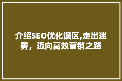 介绍SEO优化误区,走出迷雾，迈向高效营销之路