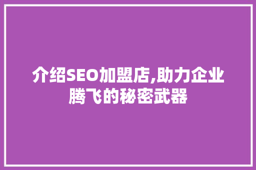 介绍SEO加盟店,助力企业腾飞的秘密武器