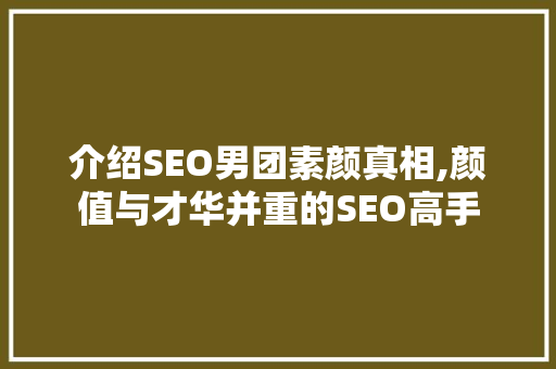 介绍SEO男团素颜真相,颜值与才华并重的SEO高手