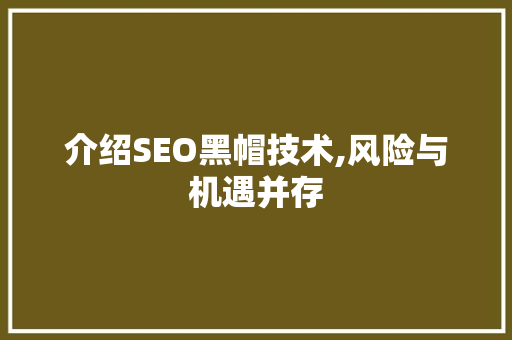 介绍SEO黑帽技术,风险与机遇并存