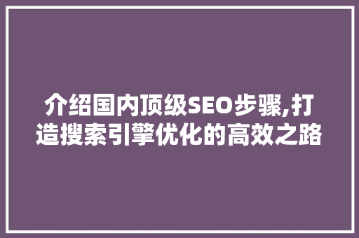 介绍国内顶级SEO步骤,打造搜索引擎优化的高效之路
