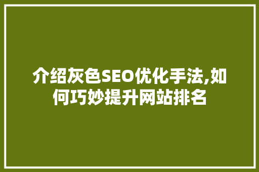介绍灰色SEO优化手法,如何巧妙提升网站排名