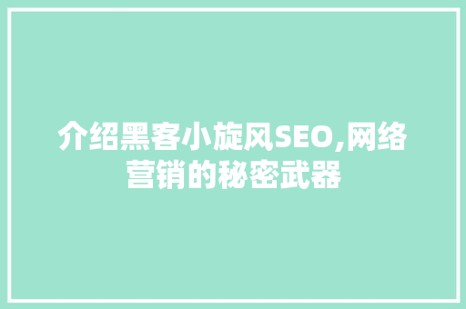 介绍黑客小旋风SEO,网络营销的秘密武器