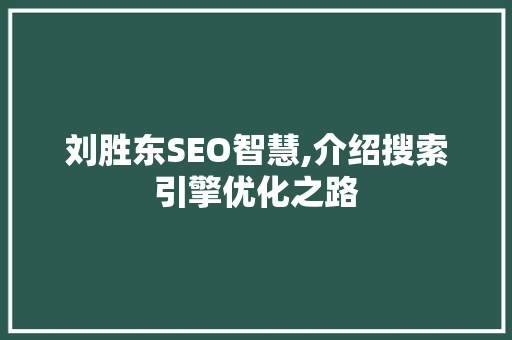 刘胜东SEO智慧,介绍搜索引擎优化之路