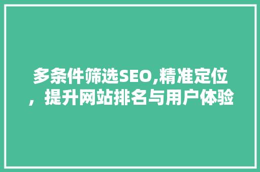 多条件筛选SEO,精准定位，提升网站排名与用户体验