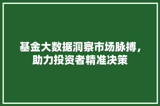 基金大数据洞察市场脉搏，助力投资者精准决策  第1张