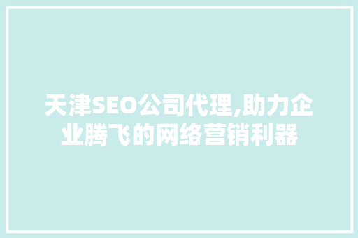 天津SEO公司代理,助力企业腾飞的网络营销利器