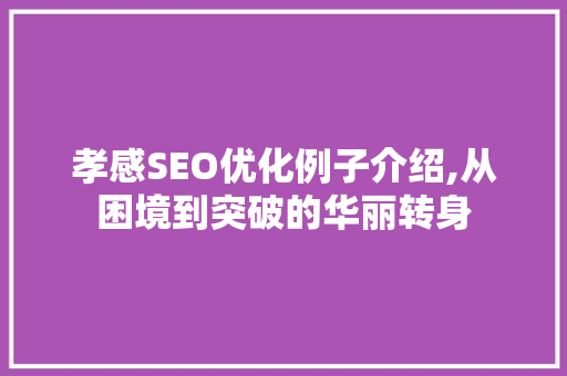 孝感SEO优化例子介绍,从困境到突破的华丽转身