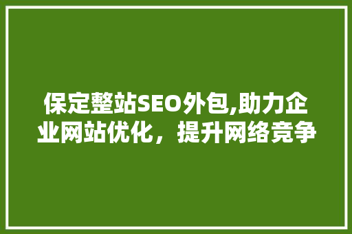 保定整站SEO外包,助力企业网站优化，提升网络竞争力