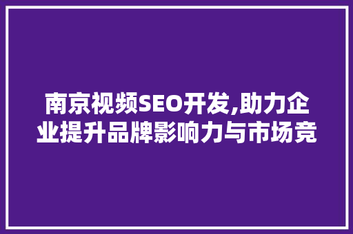 南京视频SEO开发,助力企业提升品牌影响力与市场竞争力