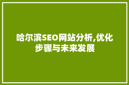 哈尔滨SEO网站分析,优化步骤与未来发展