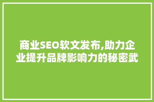 商业SEO软文发布,助力企业提升品牌影响力的秘密武器