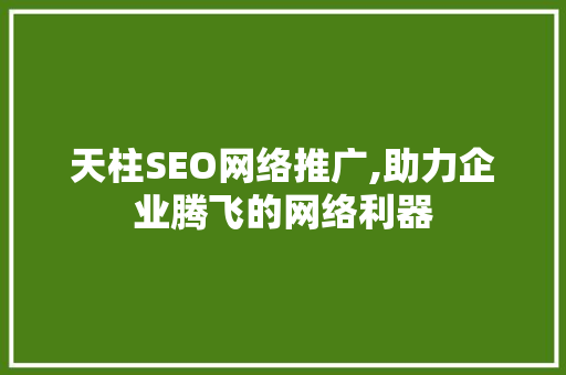 天柱SEO网络推广,助力企业腾飞的网络利器