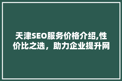 天津SEO服务价格介绍,性价比之选，助力企业提升网络竞争力