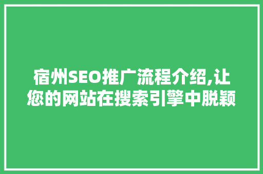 宿州SEO推广流程介绍,让您的网站在搜索引擎中脱颖而出  第1张