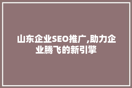 山东企业SEO推广,助力企业腾飞的新引擎