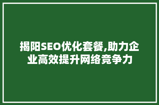 揭阳SEO优化套餐,助力企业高效提升网络竞争力