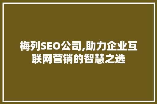 梅列SEO公司,助力企业互联网营销的智慧之选