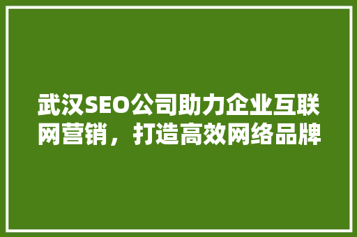 武汉SEO公司助力企业互联网营销，打造高效网络品牌形象