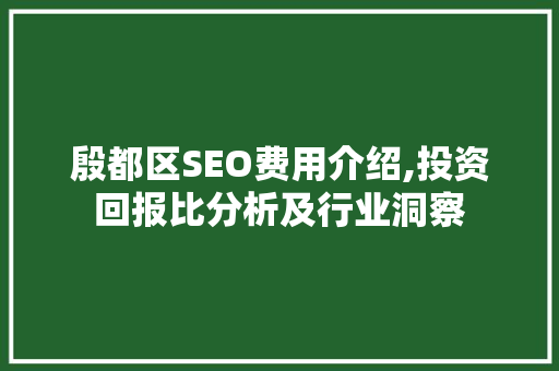 殷都区SEO费用介绍,投资回报比分析及行业洞察